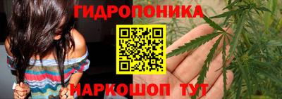 ECSTASY Будённовск