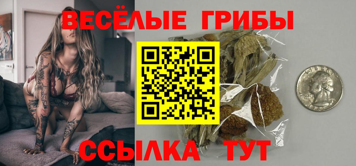 Троицк  Псилоцибиновые грибы Psilocybine cubensis  Вход с VPN  Псилоцибиновые грибы мухоморы 